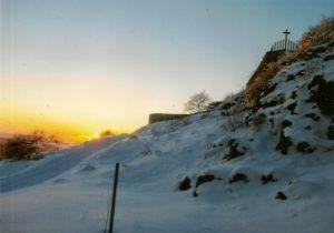 Anpflanzung Lindenbaum im Wintersonnen-Untergang 